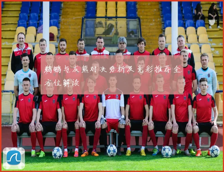 鹈鹕与灰熊对决分析及竞彩推荐全方位解读